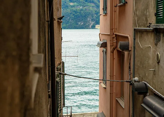 Love's Corner - By Myhomeincomo * Carate Urio